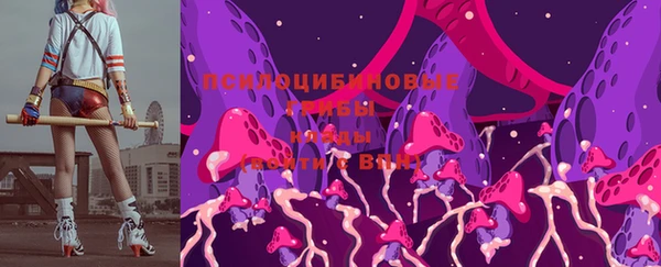 спиды Арсеньев