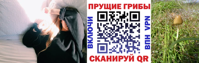 Псилоцибиновые грибы прущие грибы это наркотические препараты Покачи купить наркотики сайты